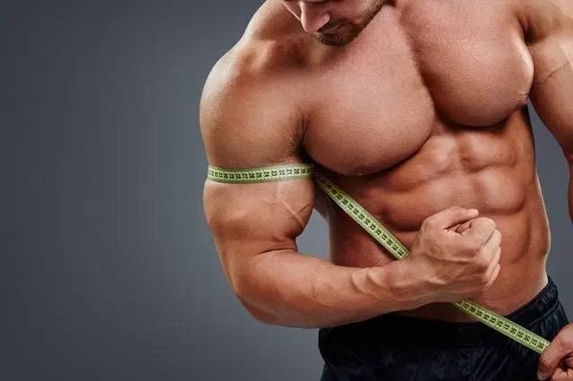 Muscle Growth / Performance