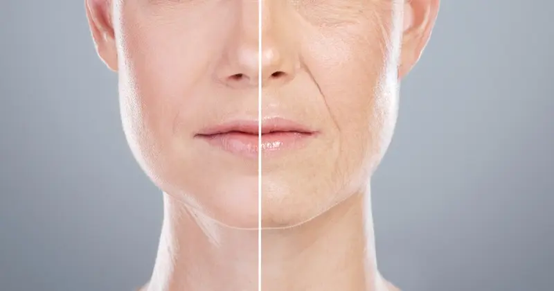 Anti-Aging / Longevity